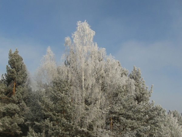 Николай Сагалаков