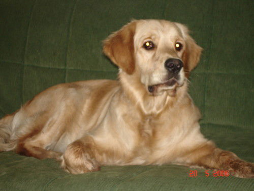 Наталья Пасевич