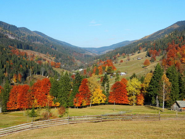 Anna Логинова