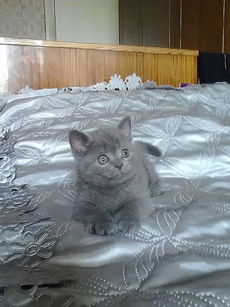 Сергей Игнатовский