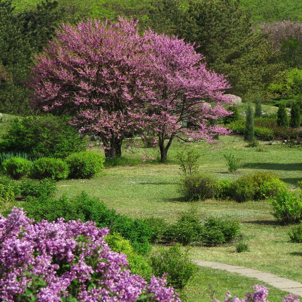 Наталья Демчишина