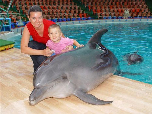 Наталья Сорокина