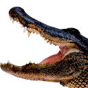 Блин Блинович