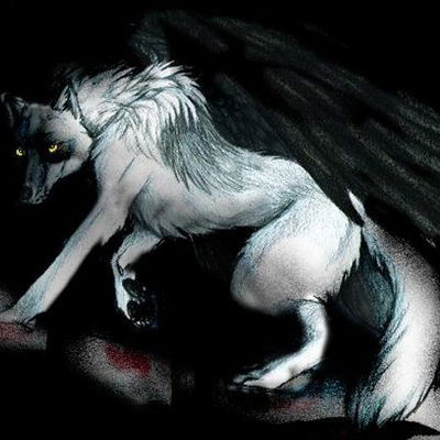 Никита Серяков