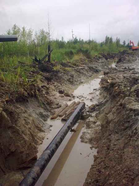 Александр Павлович