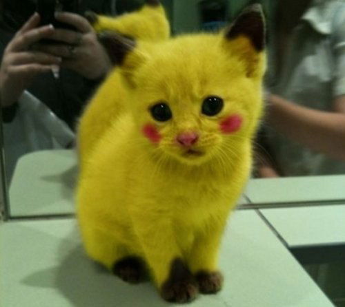 Светлана Ефремова