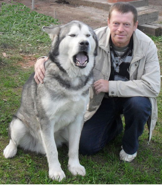 Владимир Балюк