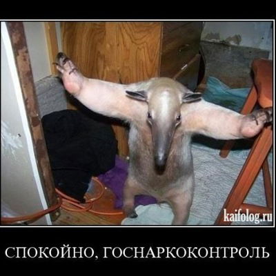 Илья Загика