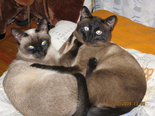 Лидия Гордиенко