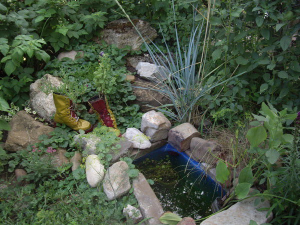 Рим Рафиков