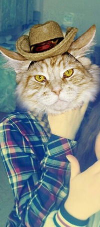 Ника Николайчева