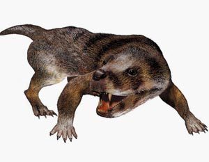 Владимир Пинюгин