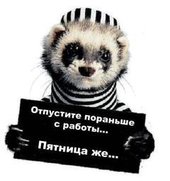 Александр Красильников