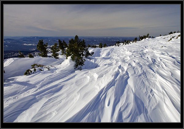 Оксана Ягубичева