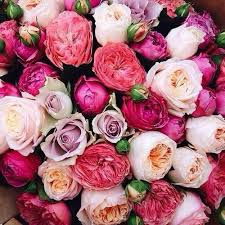 Ева Игоревна