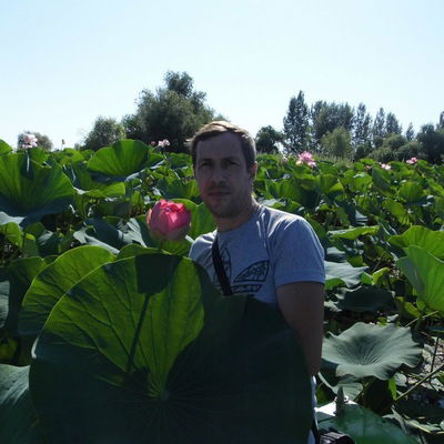 Александр Гаврилов