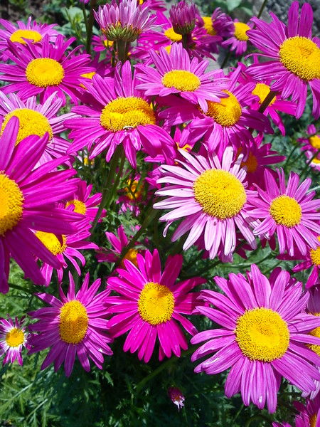 Зинина Екатерина