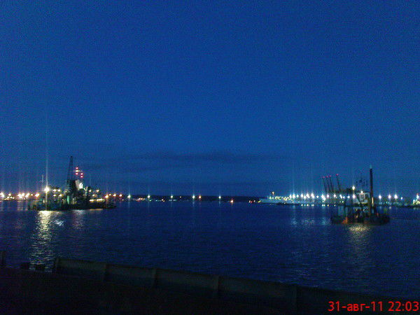 Алексей Вохминцев