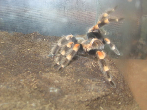 Валера Валера