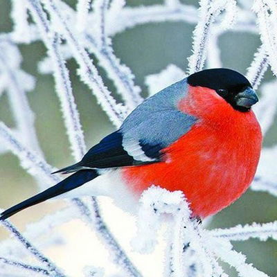 Людмила Терешкова