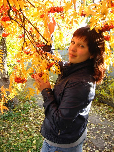 Галка Карказёбра