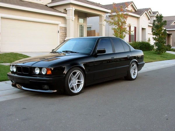 Злата Ибрагимович