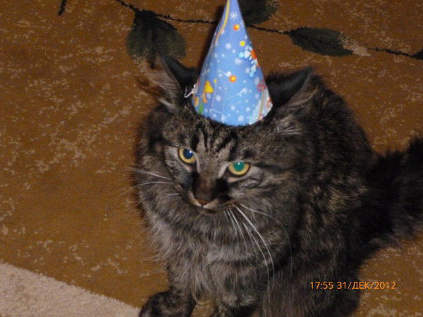 Лиза Степанова