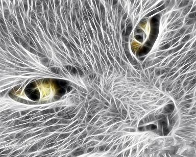 Лена Зенина