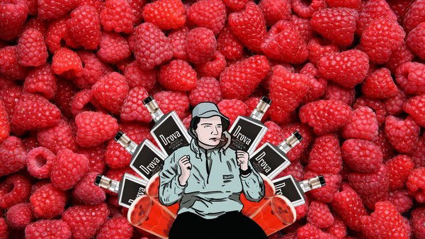 Dmitrii Solodovnikov