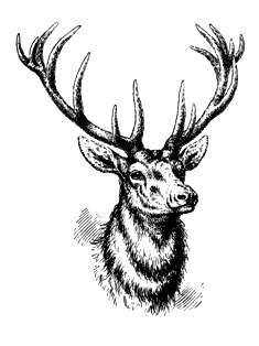 Антон Быков