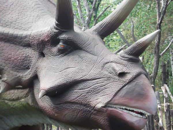 Ирик Гайнуллин