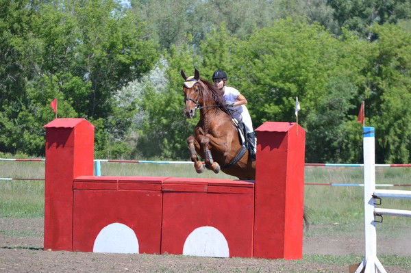 Инесса Чепургина