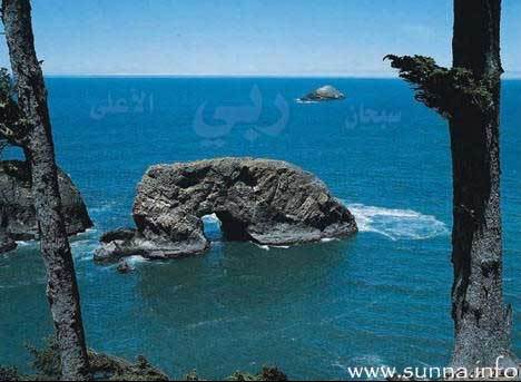 Сунгат Алибаев