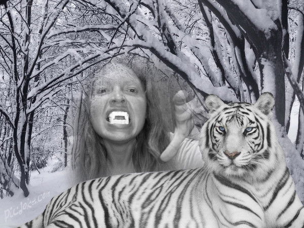 Елена Чумак