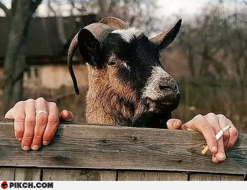 Владимир Козлов