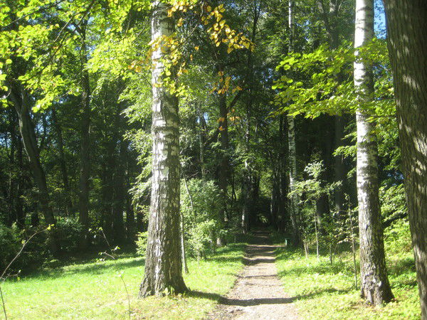 Елена Шуралёва