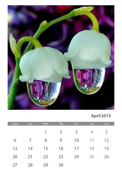 Дарья Рахманина