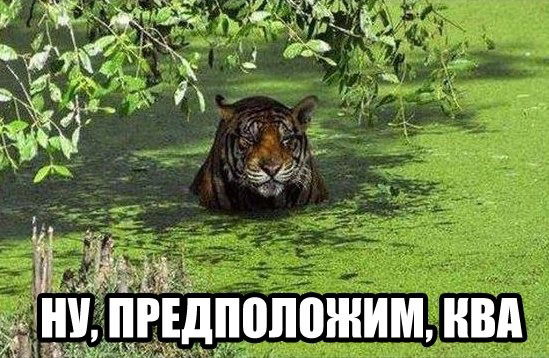 Надежда Звягина