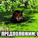 Надежда Звягина