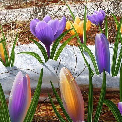 Татьяна Солодунова