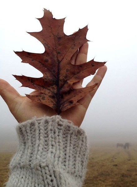 Наталья Ким