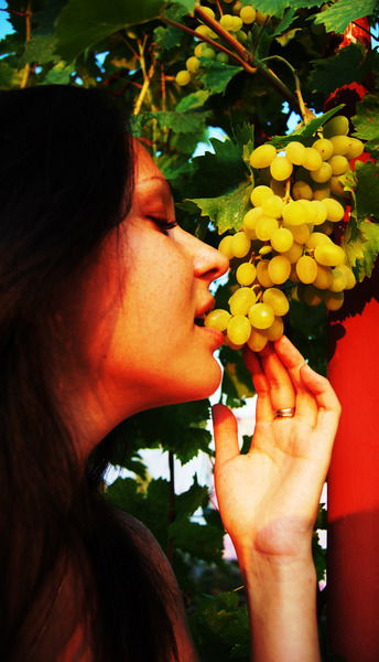 Екатерина Волкова