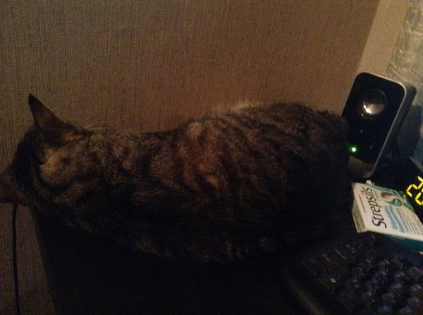 Алексей Злобин