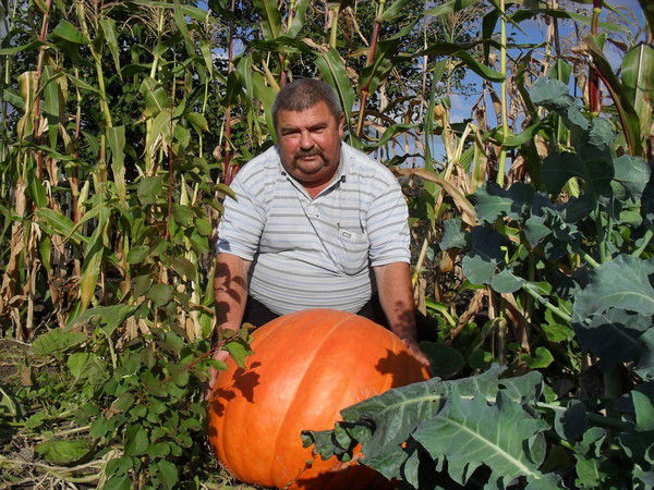 Сергей Богданов