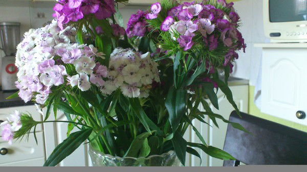 Людмила Евдокимова