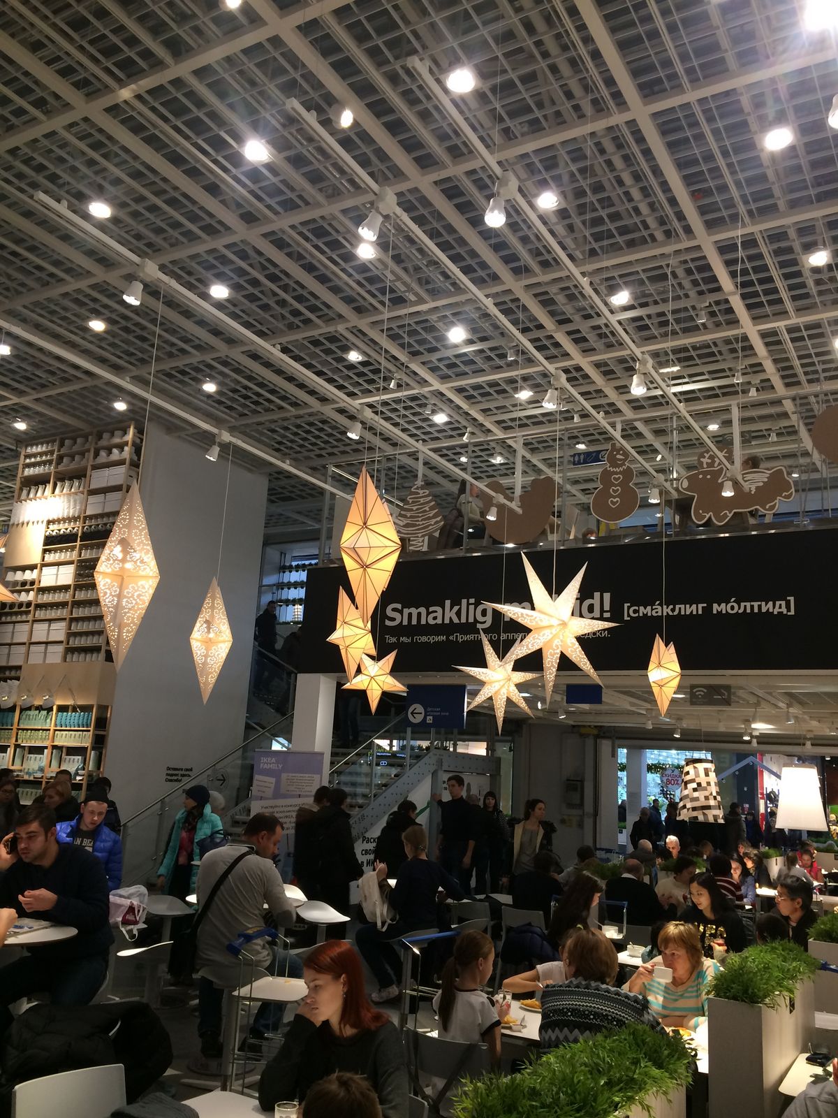 Антон Горшоков