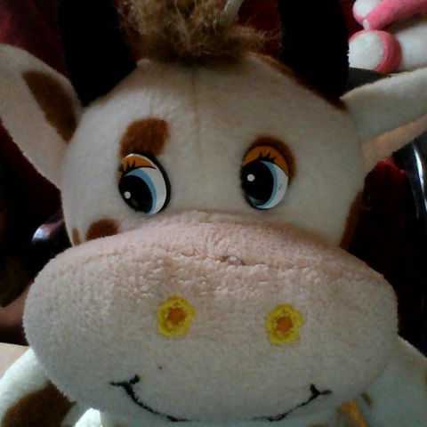 Сергей Ефременко