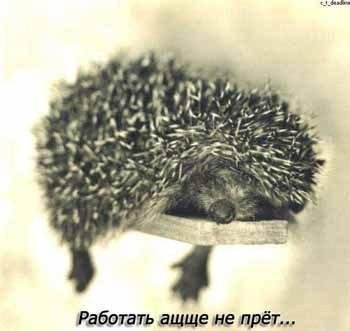 Мария Мария