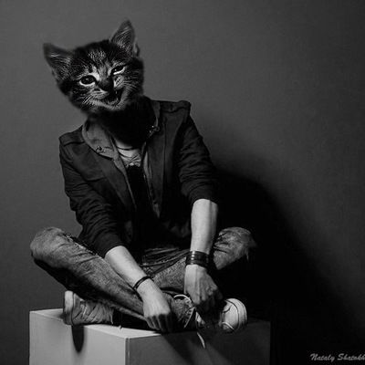 Анна Чередниченко