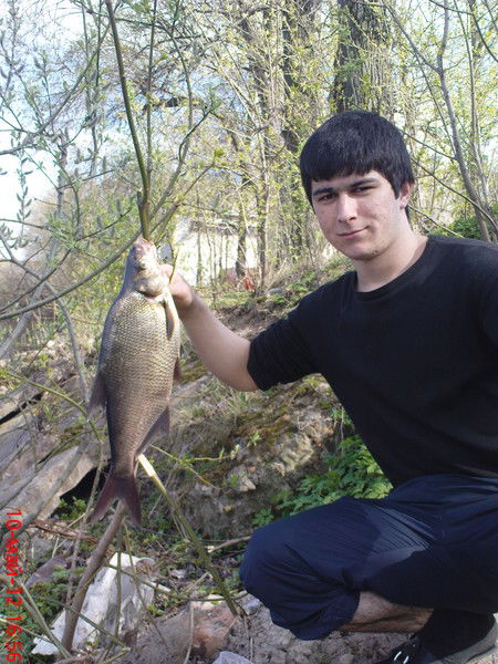 Давлатбег Гафуров